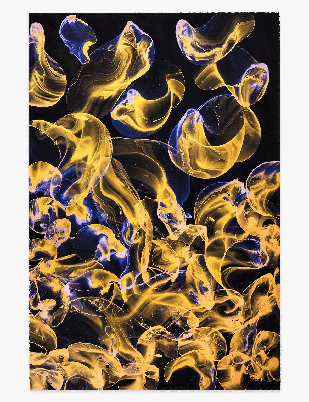 Dokoupil_Goldblau_Website_Front.png