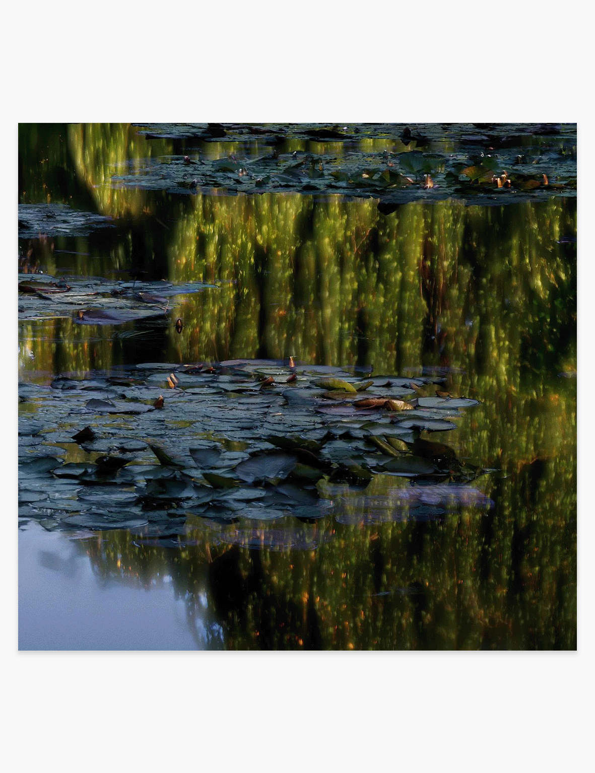 Michael_Wesely_Giverny_Website_front.png