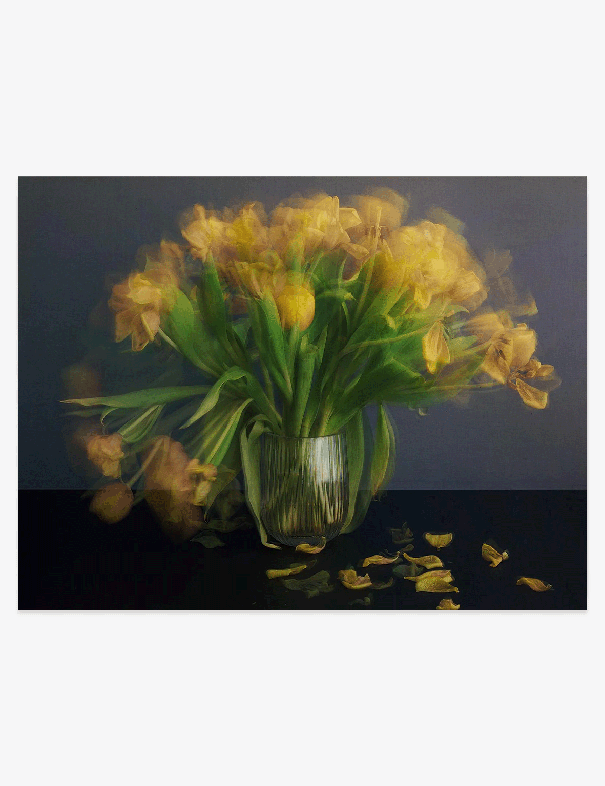 Michael_Wesely_Stillleben_mit_tulpen__Website_Front.png