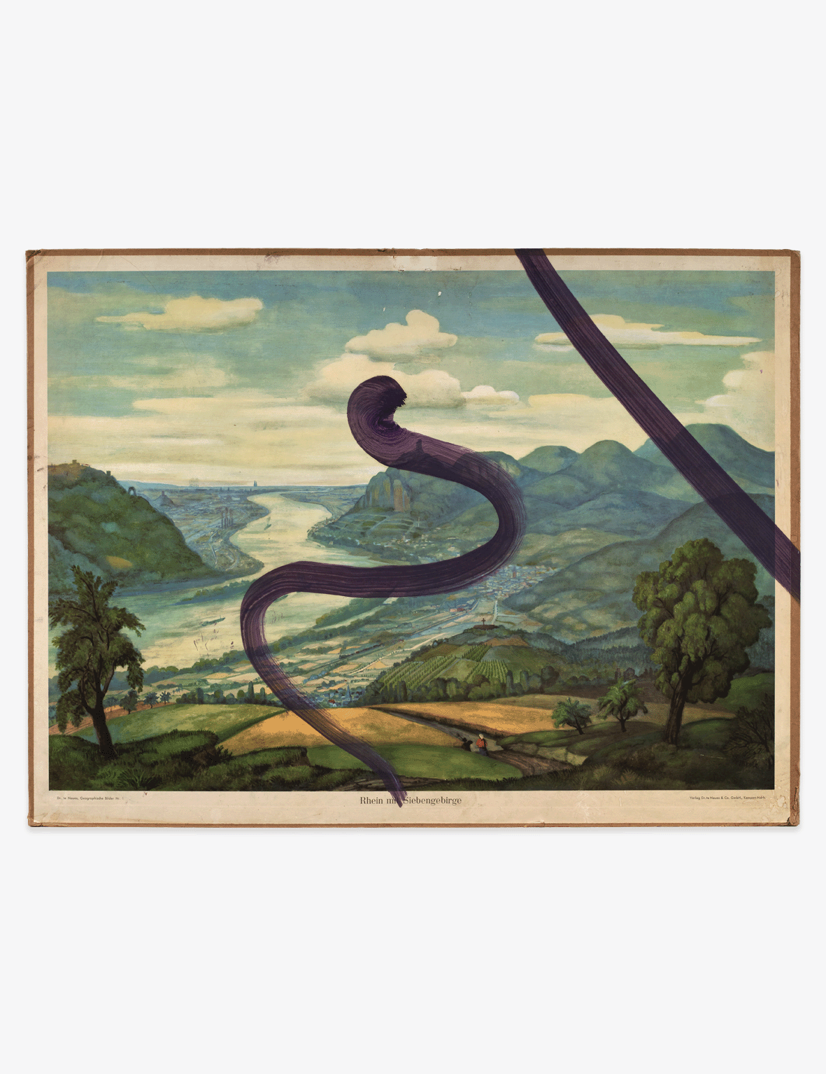 Schnabel_Rhein_Siebengebirge_Website_Front.png