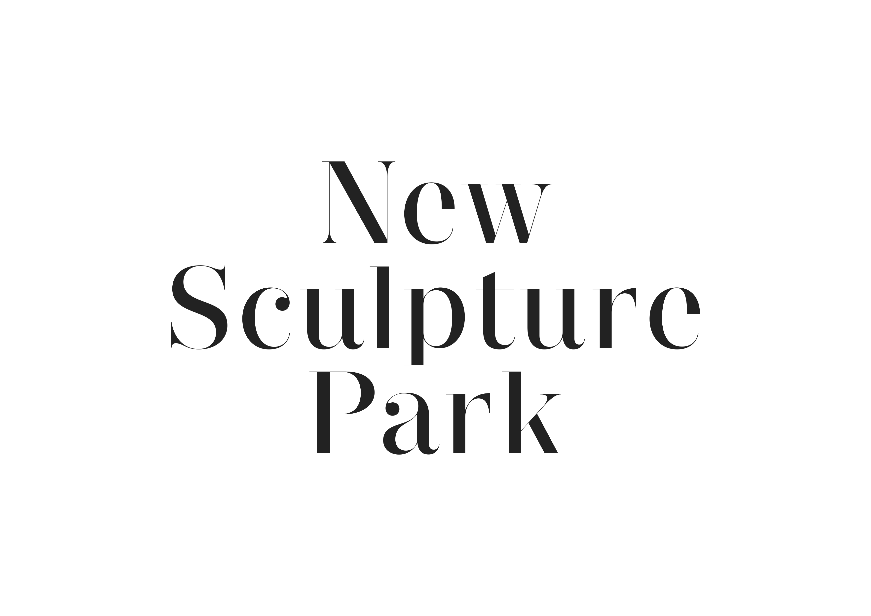 250804_Logo_NSP.png