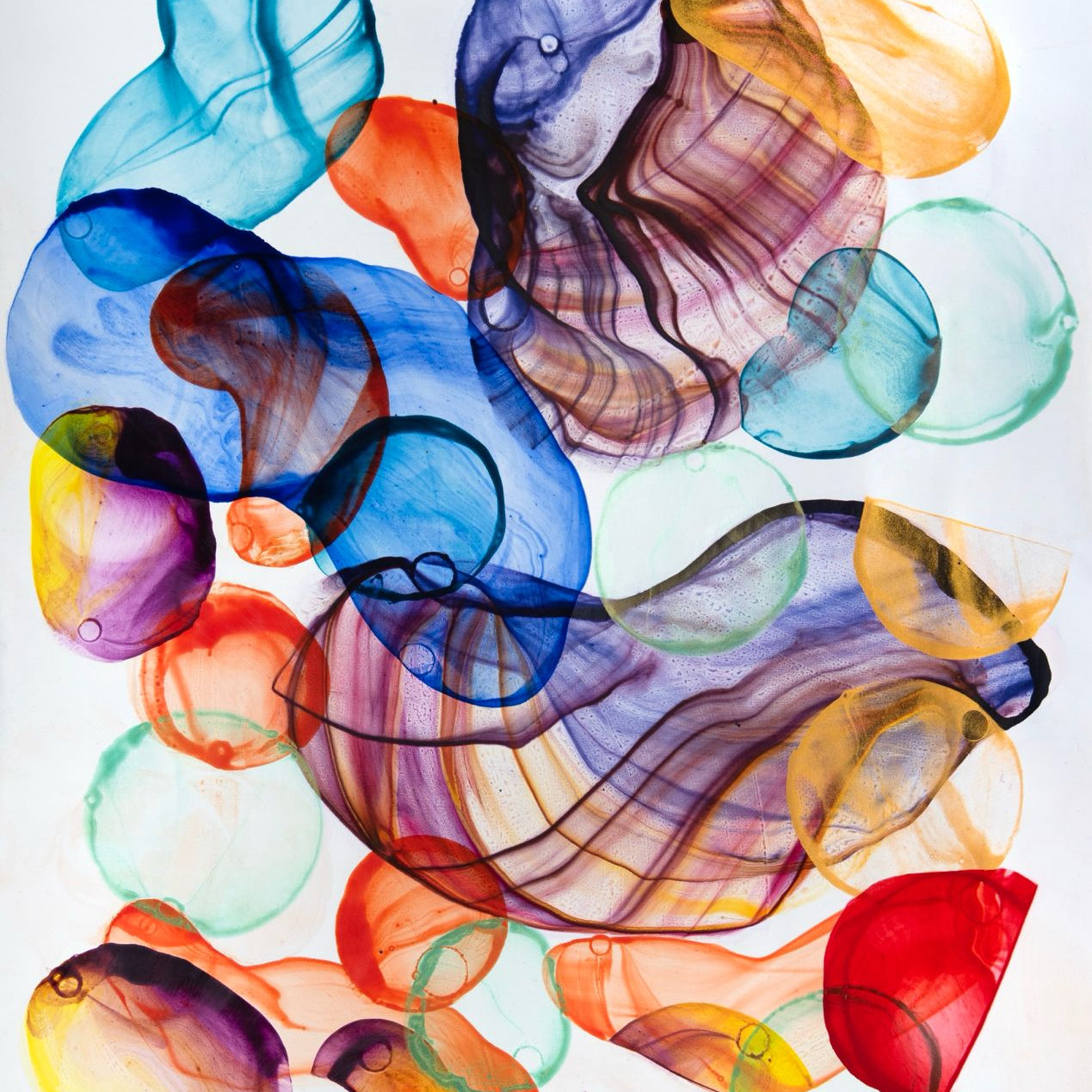 DokoupilMyNewBeautifulBubbles.jpg