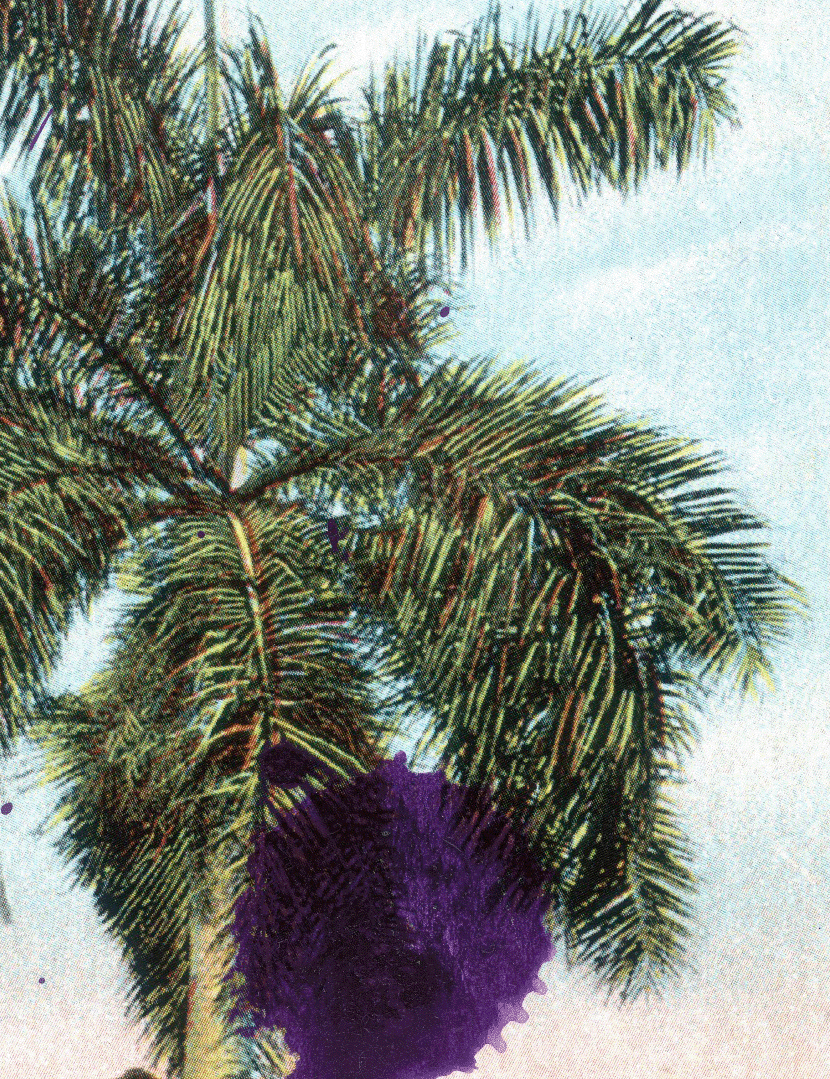 JulianSchnabel-RoyalPalm_CloseUp.png