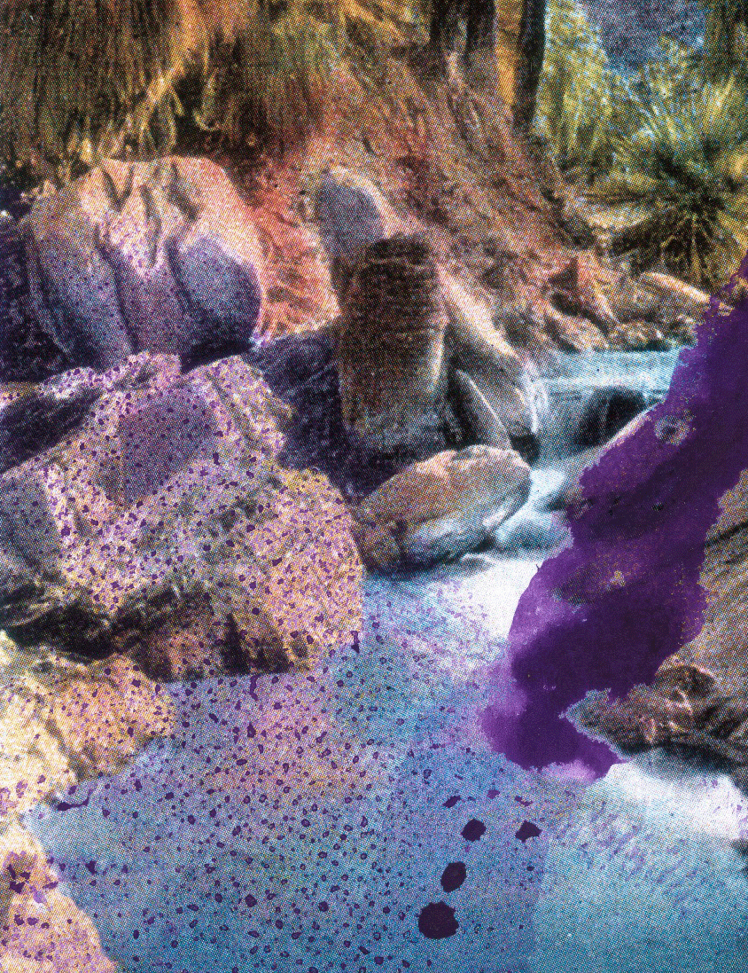 JulianSchnabel-UpperPalmCanyon_CloseUp.png