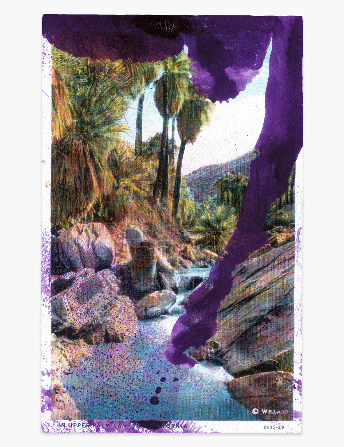 JulianSchnabel-UpperPalmCanyon_Website_Front.png