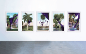 Julian Schnabel - Upper Palm Canyon