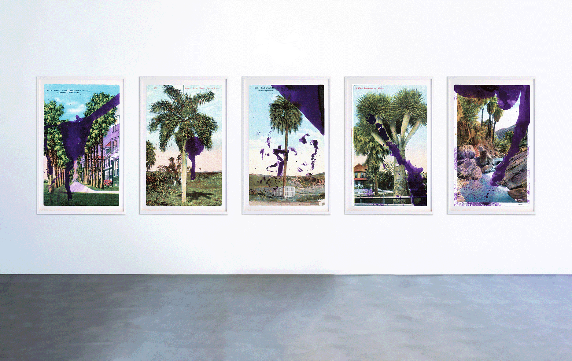 Julian Schnabel - Upper Palm Canyon