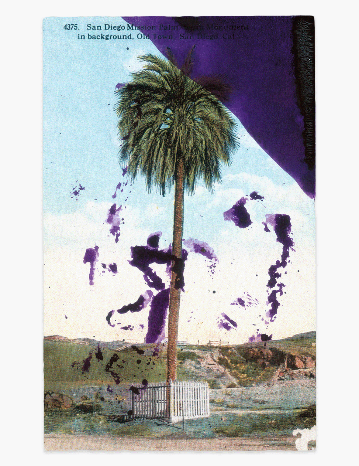 Julian_Schnabel_-_San_Diego_Mission_Website_Front.png
