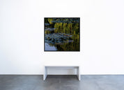 Michael Wesely - Giverny