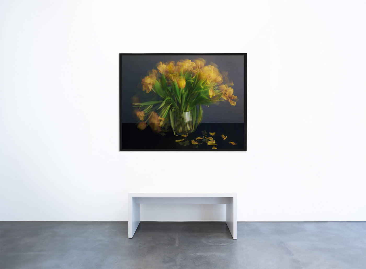 Michael Wesely - Stillleben (mit Tulpen)