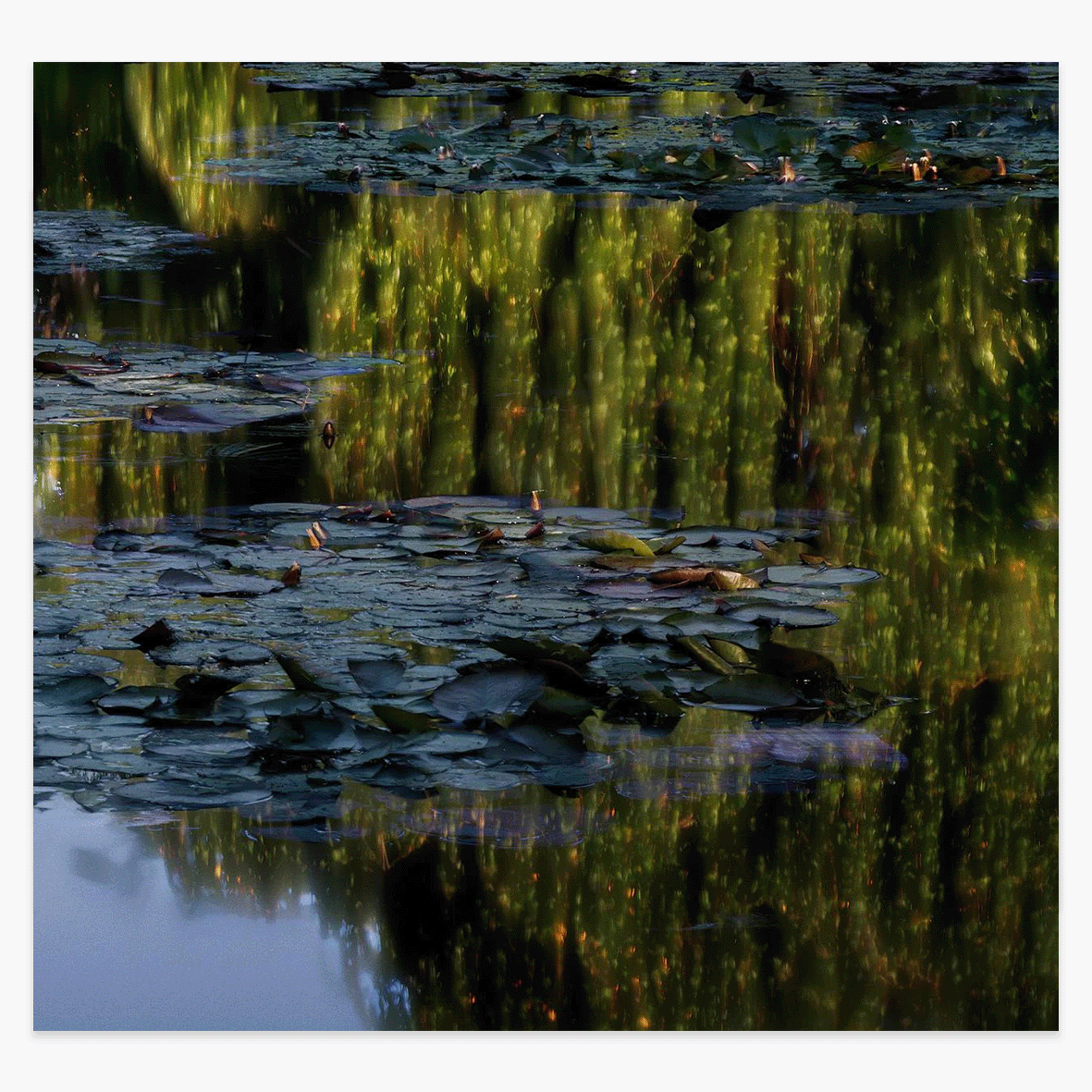 Michael_Wesely_Giverny_Website_front.png