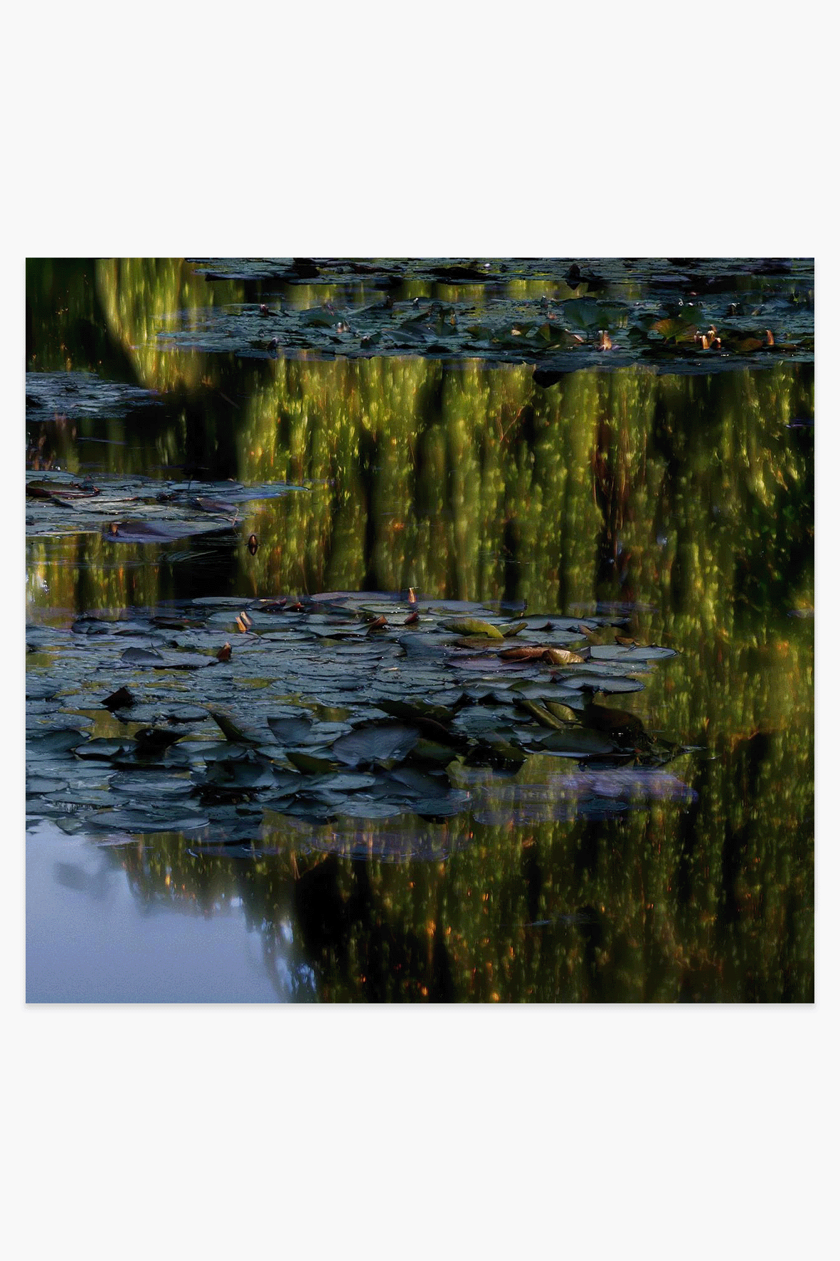 Michael Wesely - Giverny
