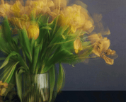 Michael Wesely - Stillleben (mit Tulpen)