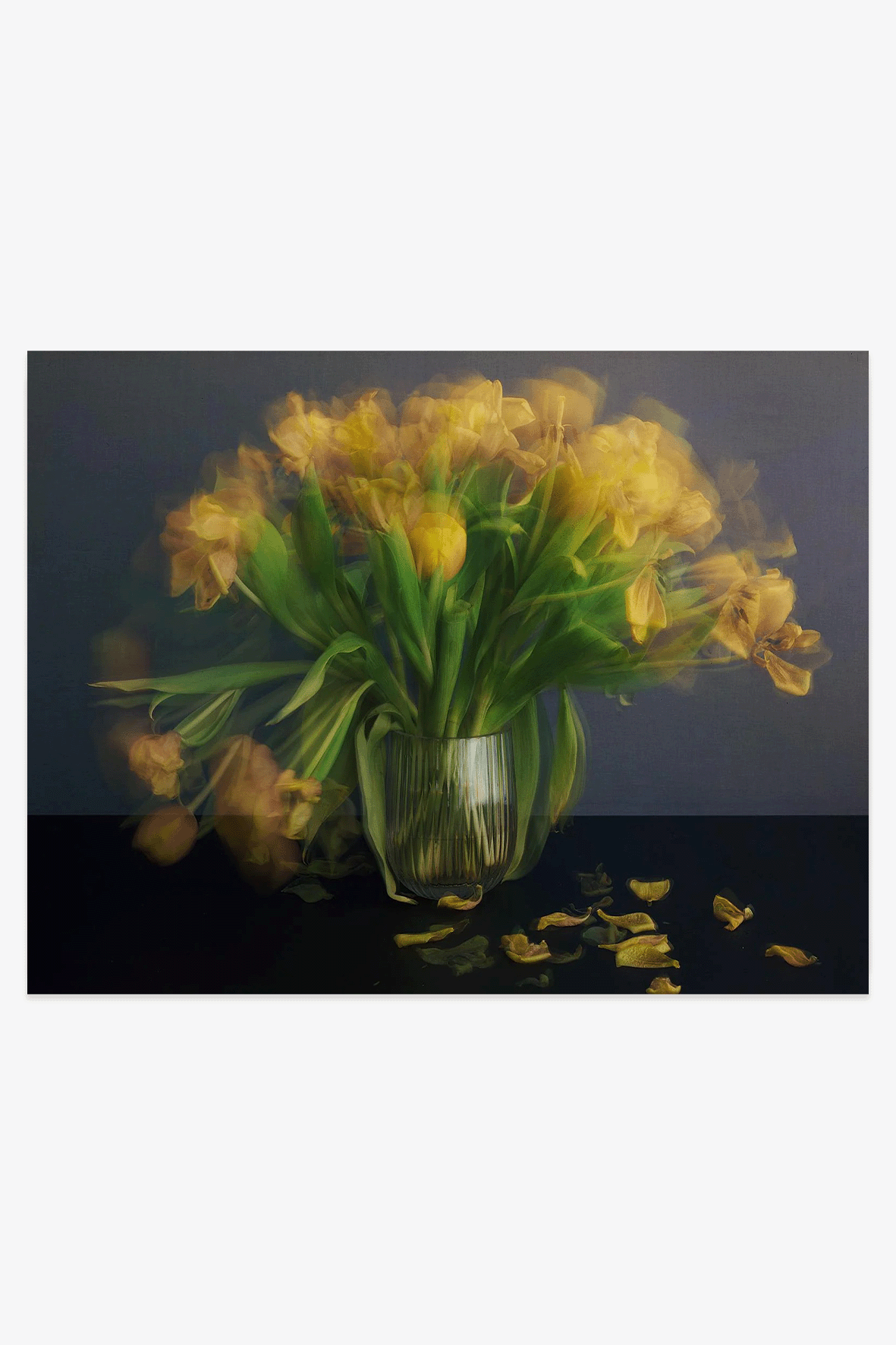 Michael Wesely - Stillleben (mit Tulpen)