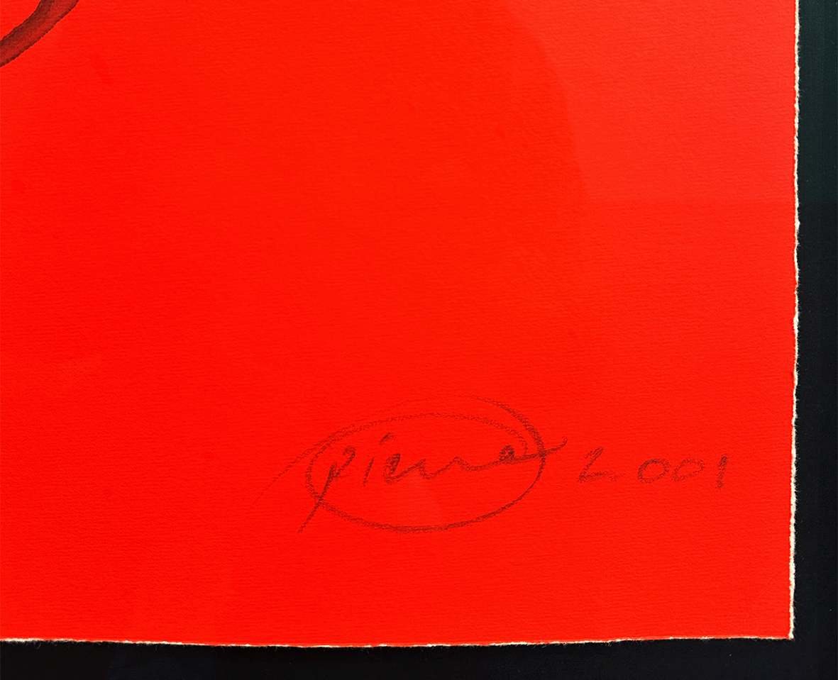 Piene_Dark_Discuss_CloseUp.png