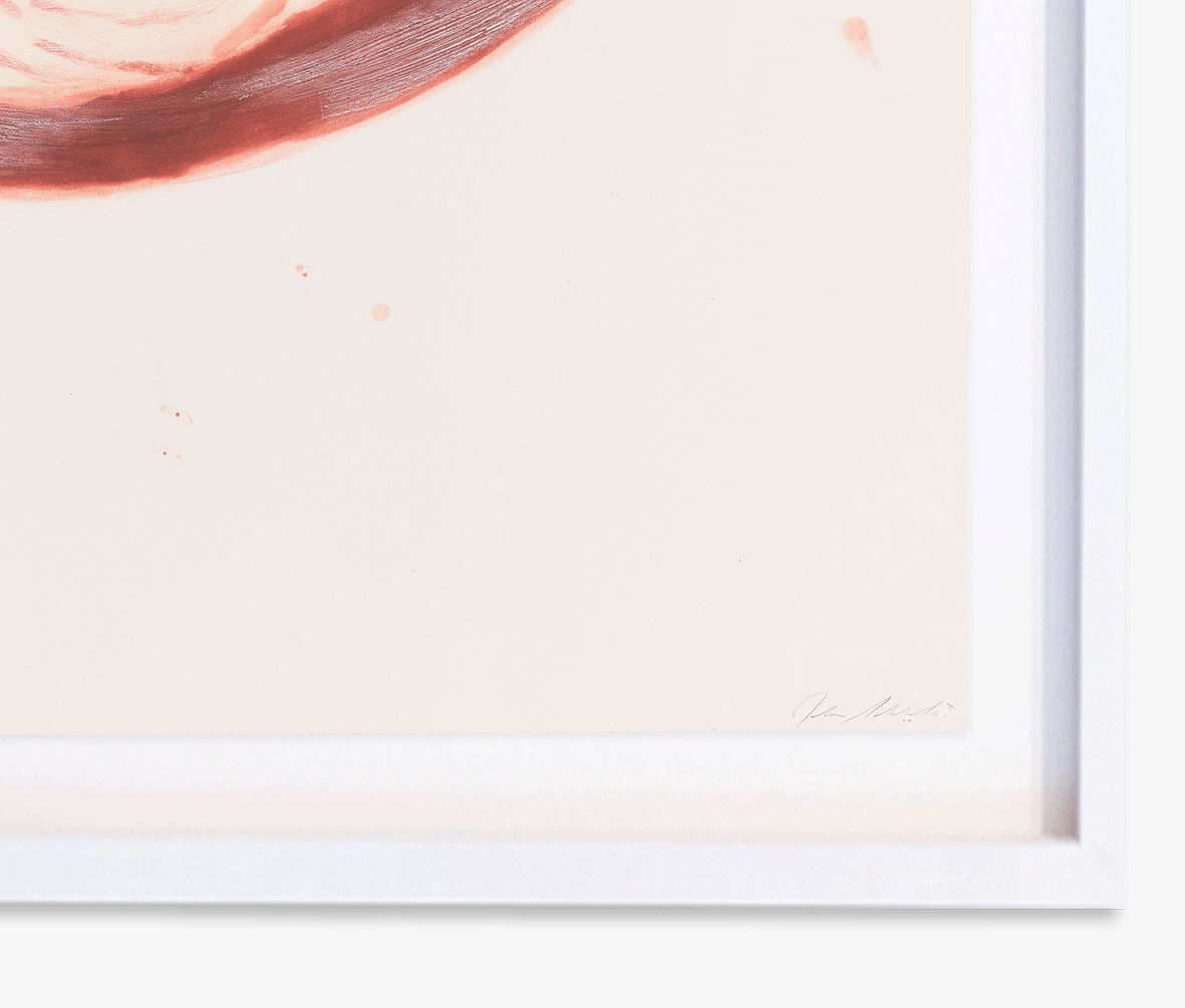 Julian Schnabel - Flamingo II