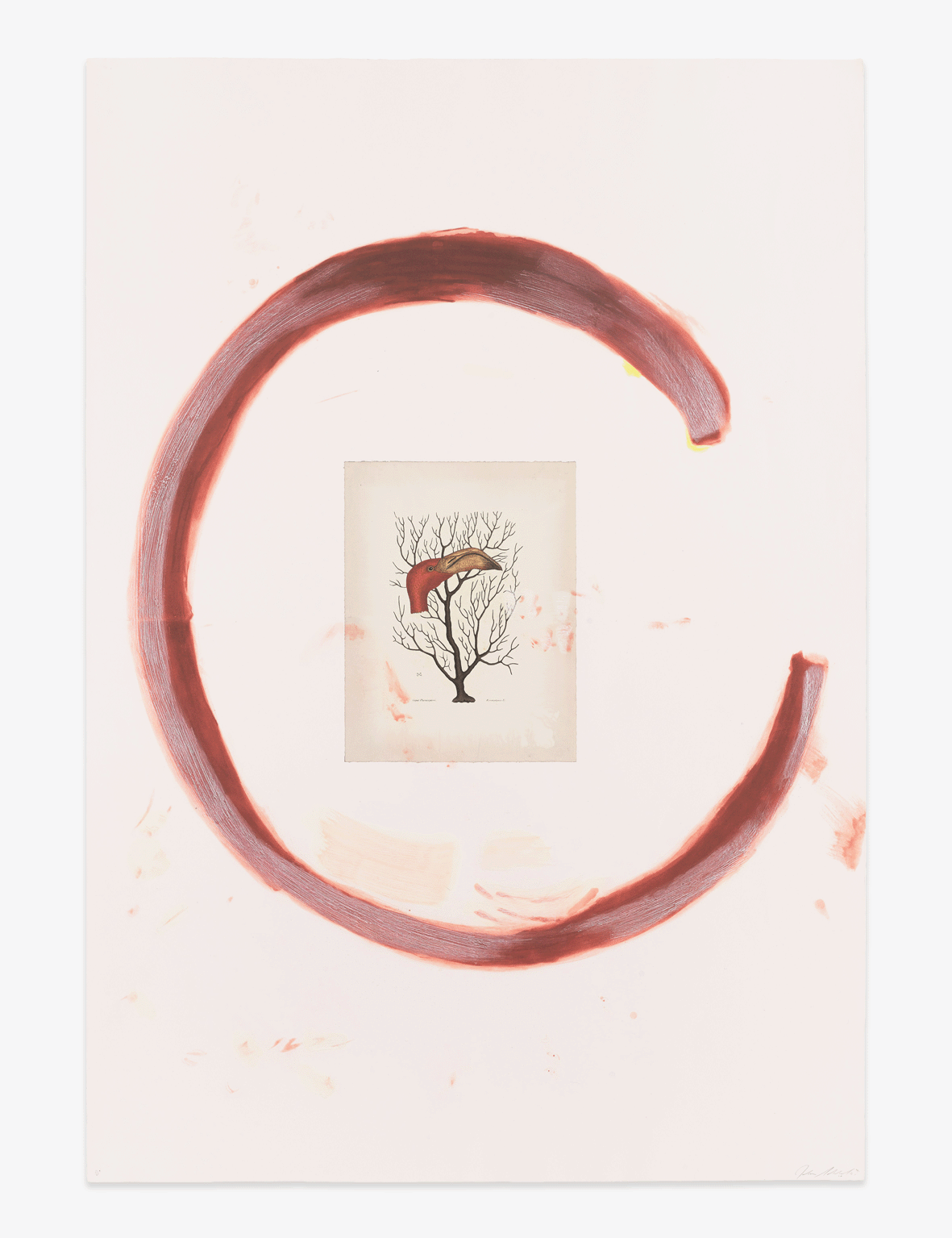 Schnabel_FlamingoII_Website_Front.png