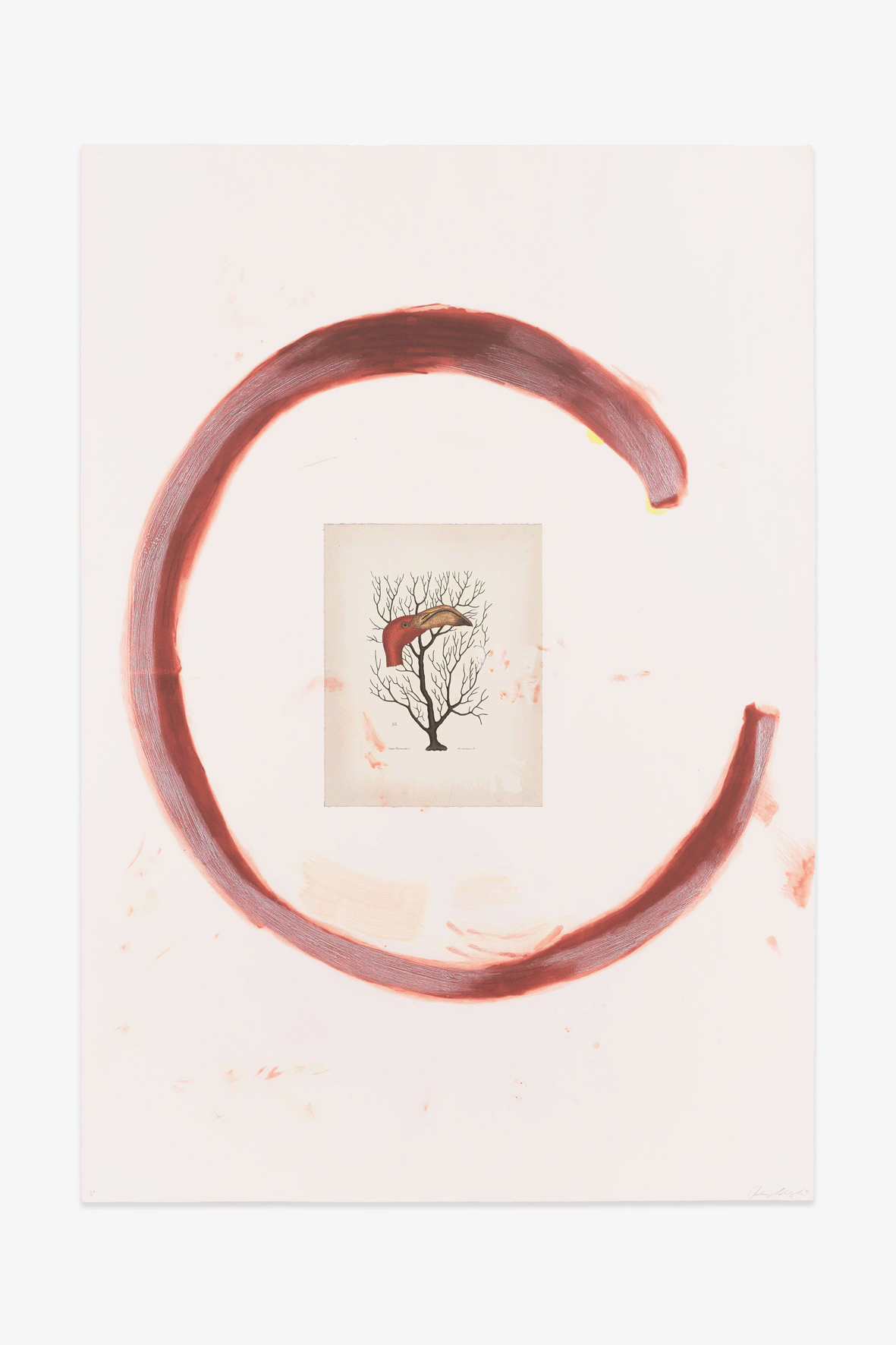 Julian Schnabel - Flamingo II