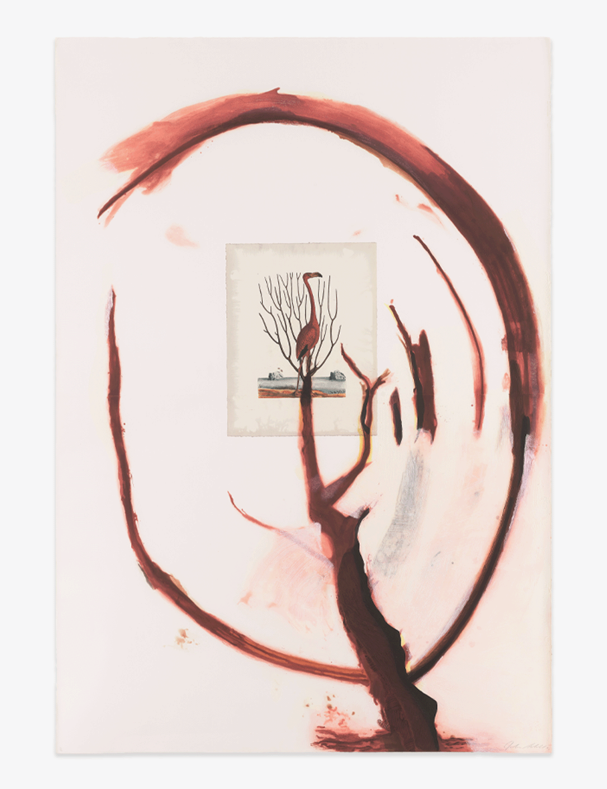 Schnabel_FlamingoI_Website_Front.png