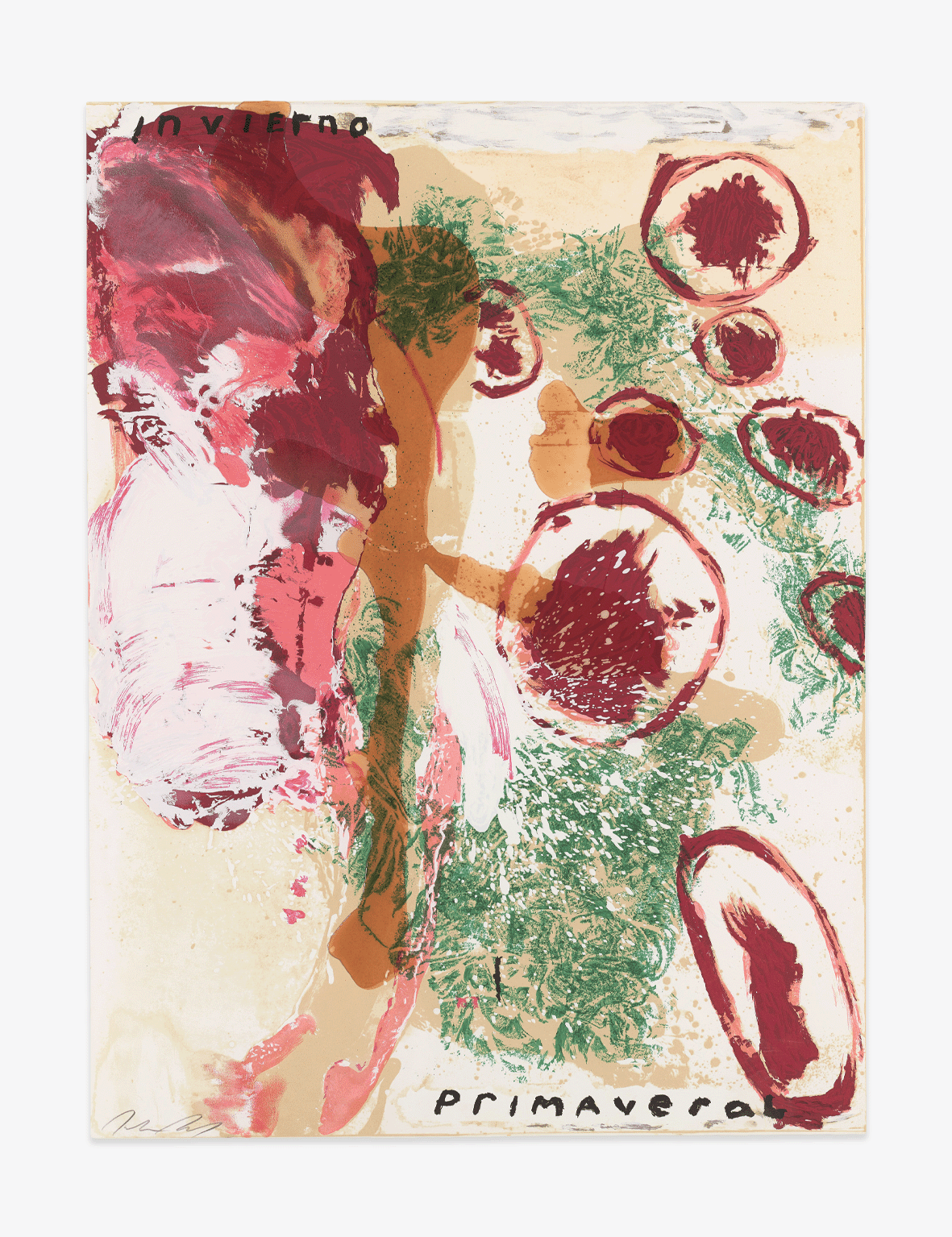 Schnabel_InviernoPrimaveral_Website_Front.png