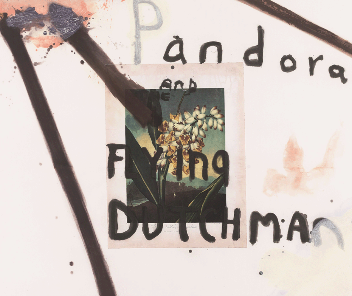 Schnabel_PandoraandtheFlyingDutchmanII_CloseUp.png