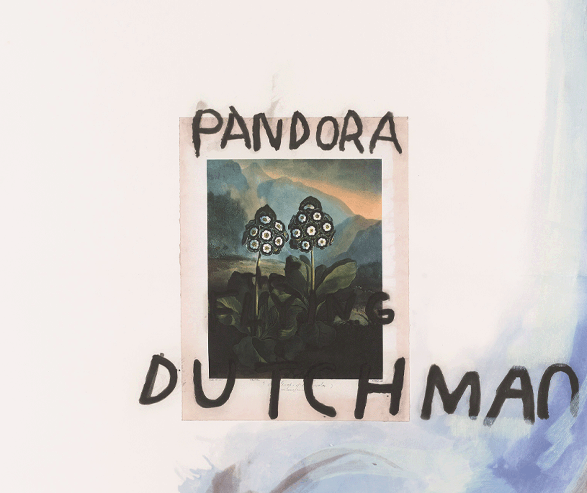 Schnabel_PandoraandtheFlyingDutchmanI_CloseUp.png