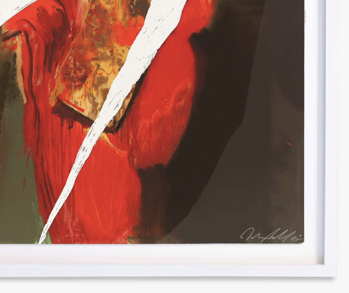 Schnabel_Xavier_Mascaro_CloseUp.png
