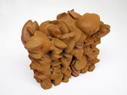 Tony Cragg - Grenze weg