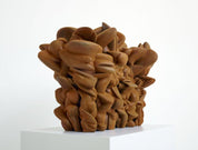 Tony Cragg - Grenze weg