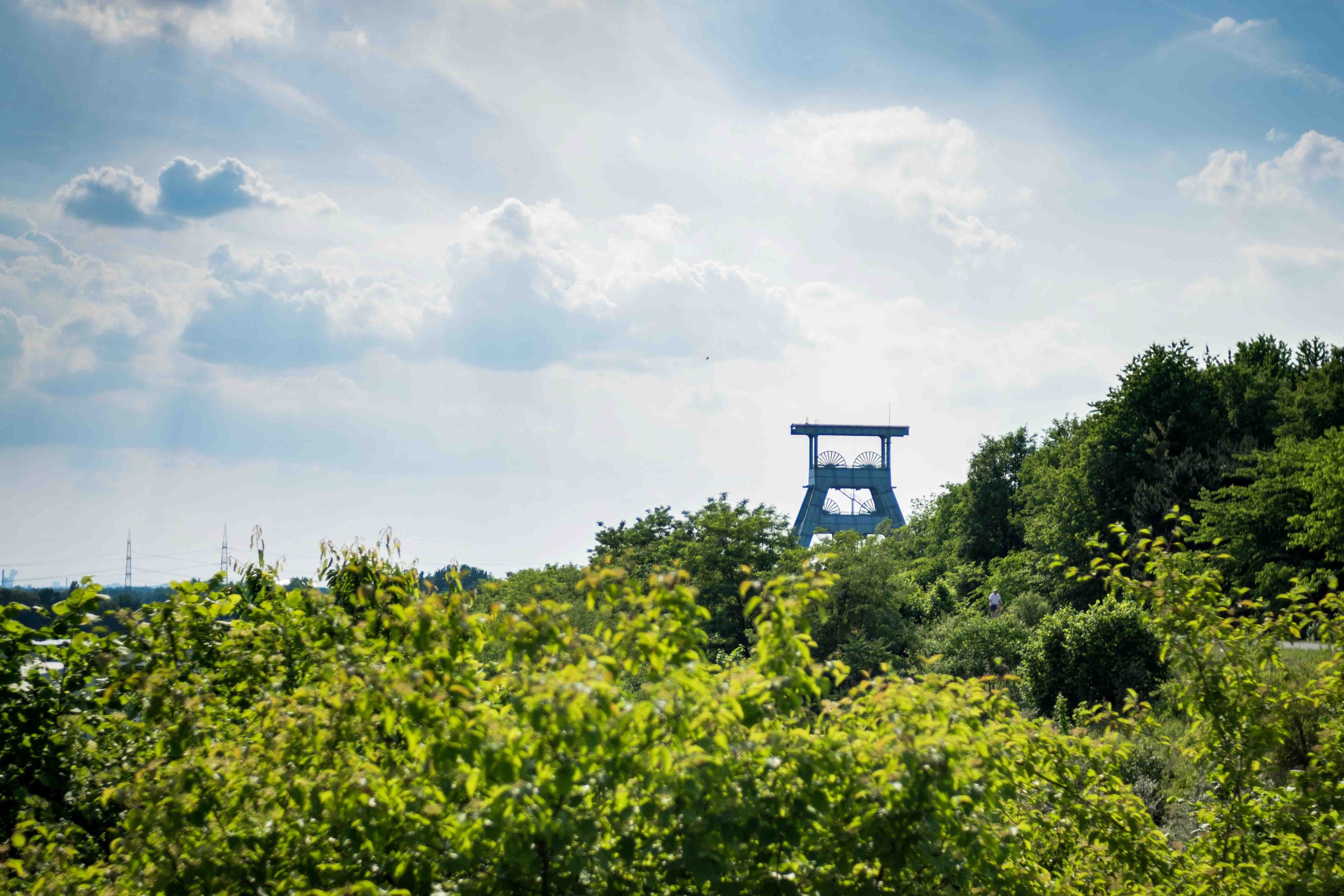 kai-rohweder-GY-y_iaWAbo-unsplash-1.jpg